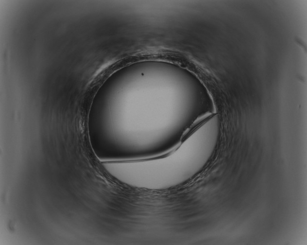 X0000093421206200710120849