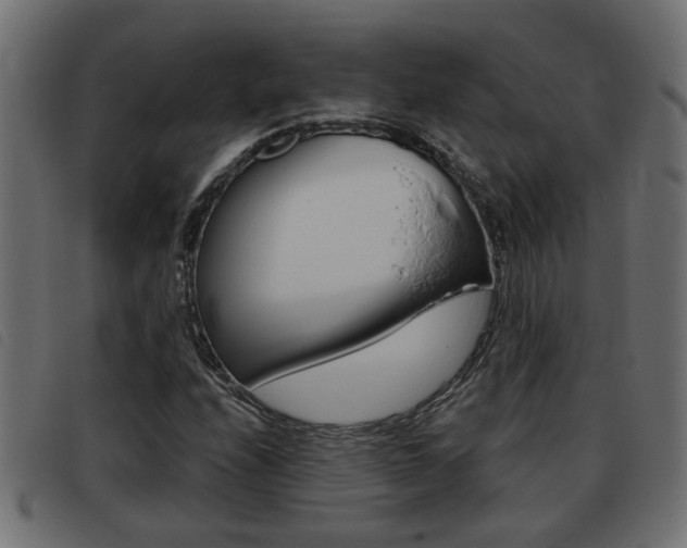 X0000093421208200710120849