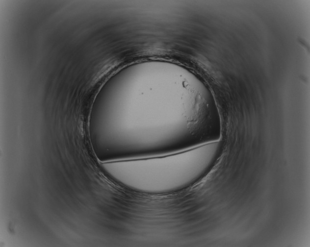 X0000093421209200710120849
