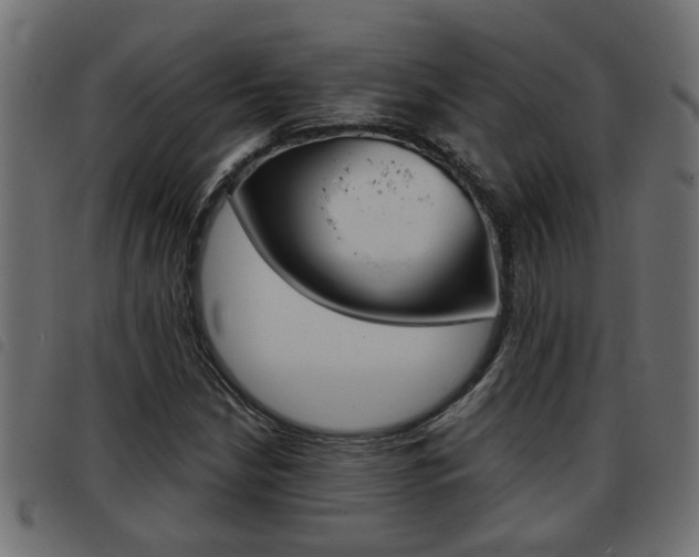 X0000093421210200710120849