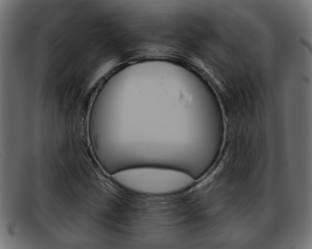 X0000093421211200710120849