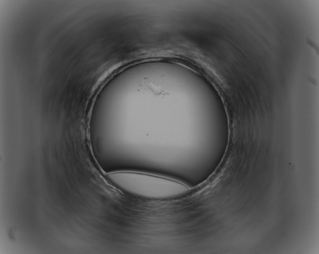 X0000093421212200710120849
