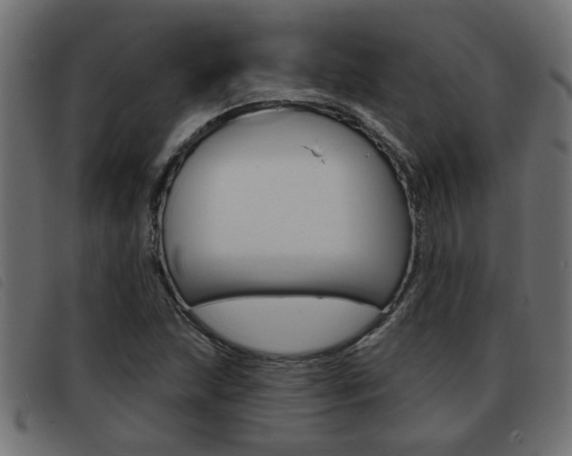 X0000093421215200710120849
