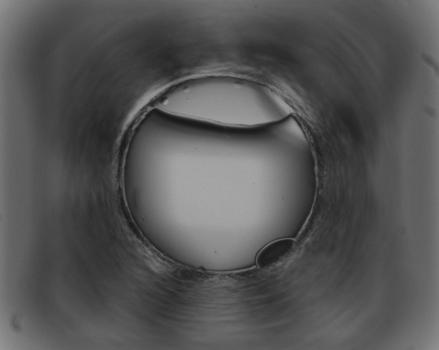 X0000093421216200710120849