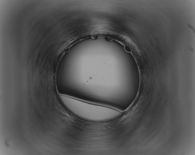 X0000093421217200710120849