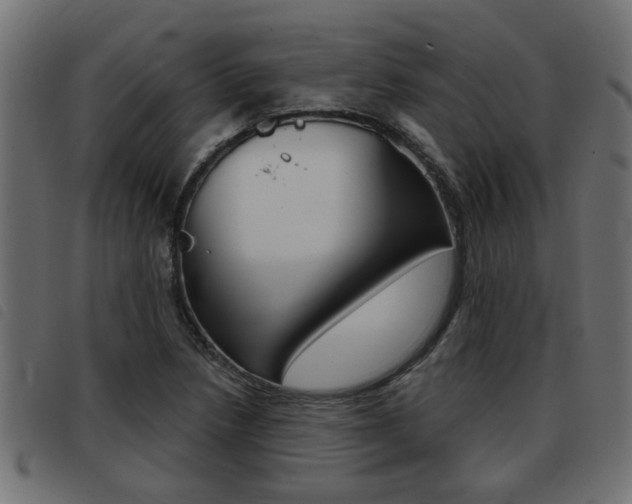X0000093421218200710120849