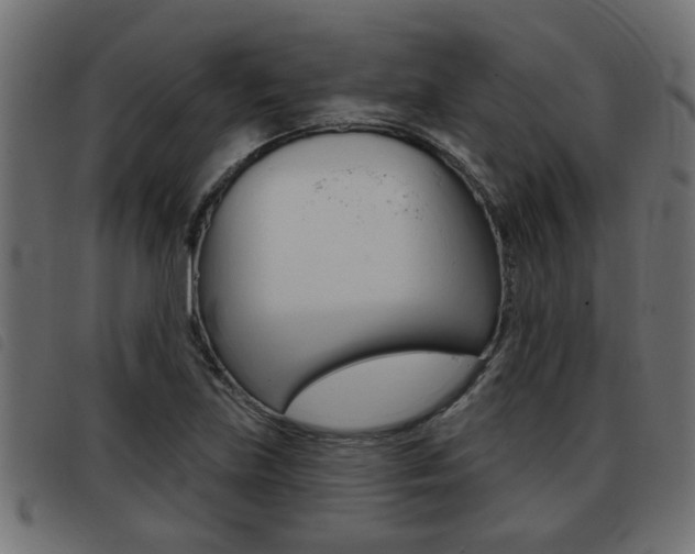 X0000093421219200710120850