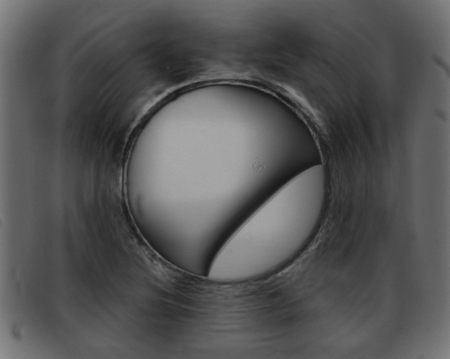 X0000093421220200710120850
