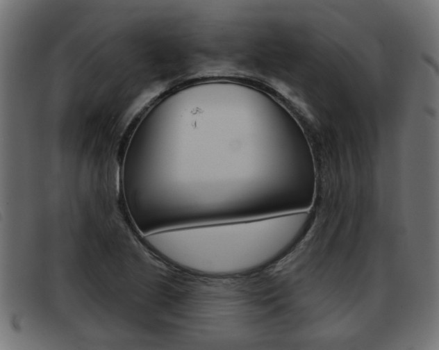 X0000093421221200710120850