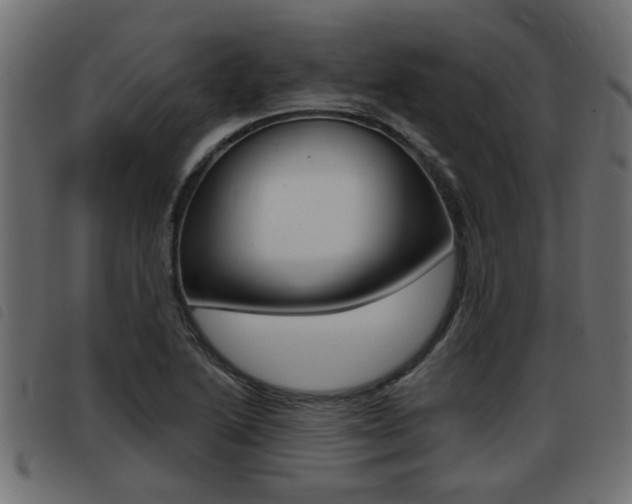 X0000093421222200710120850