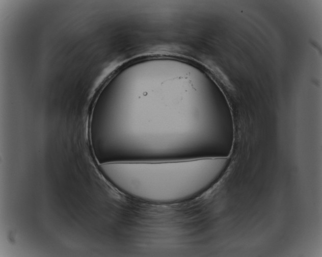 X0000093421224200710120850