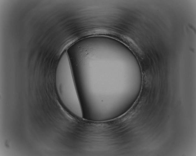 X0000093421225200710120850