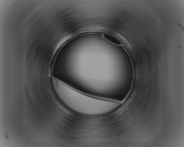 X0000093421226200710120850