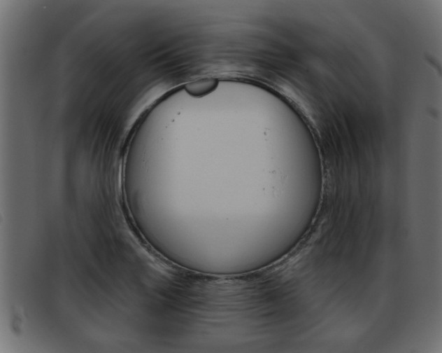 X0000093421227200710120850
