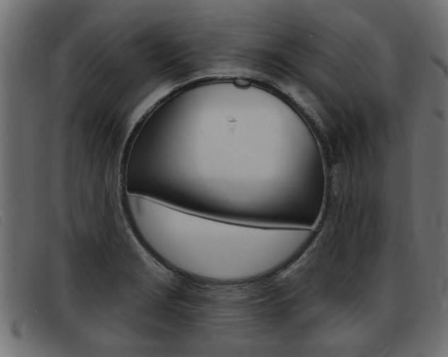 X0000093421229200710120850