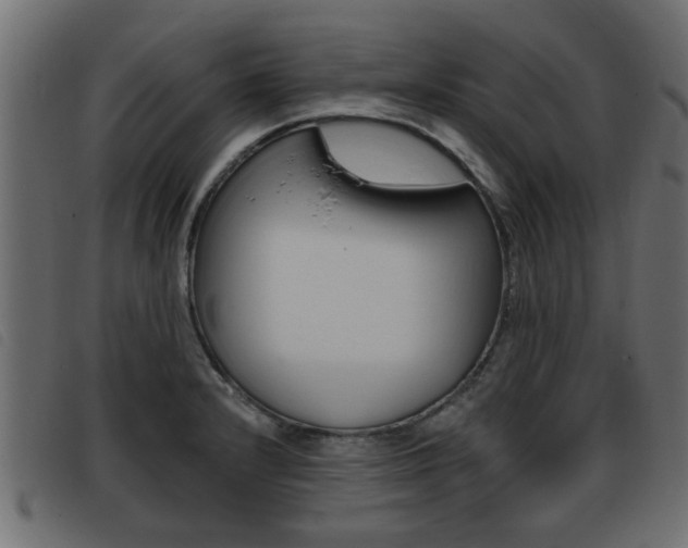 X0000093421232200710120850