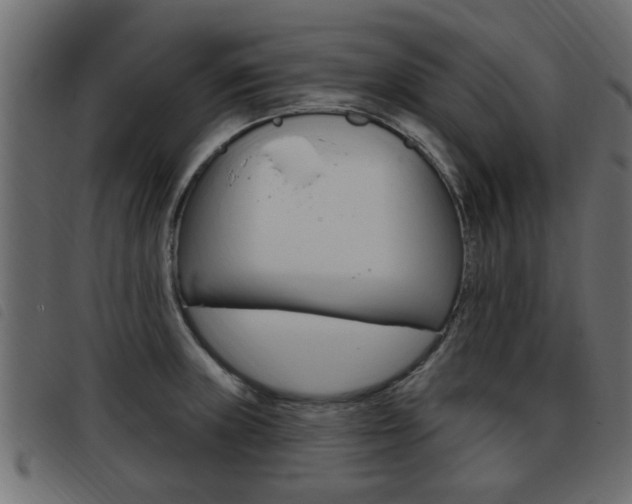 X0000093421235200710120850