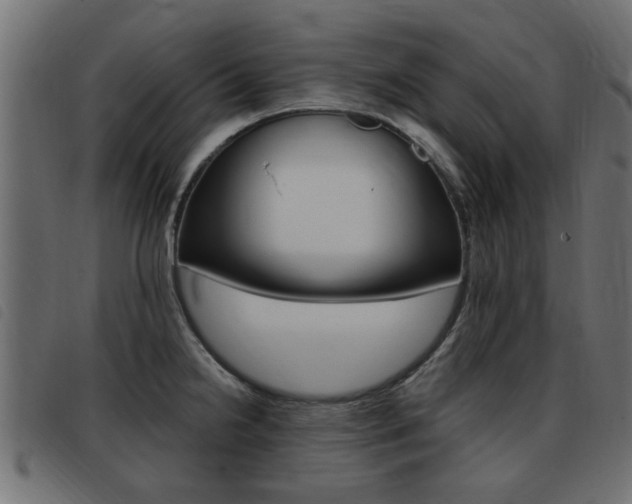 X0000093421238200710120850