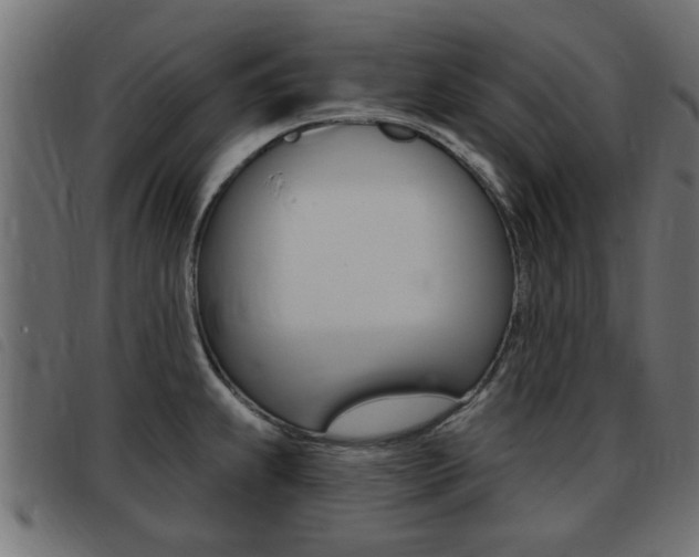 X0000093421239200710120850
