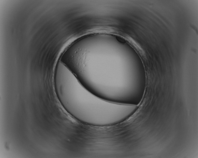 X0000093421240200710120850