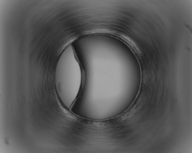 X0000093421241200710120850