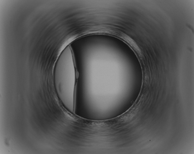 X0000093421242200710120850