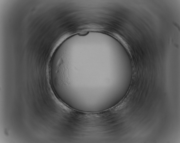 X0000093421243200710120850