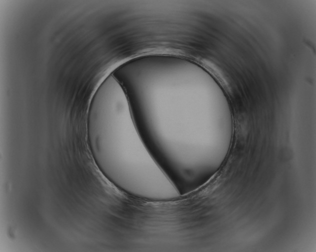 X0000093421244200710120850