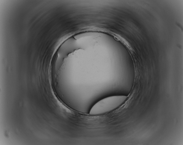 X0000093421247200710120850