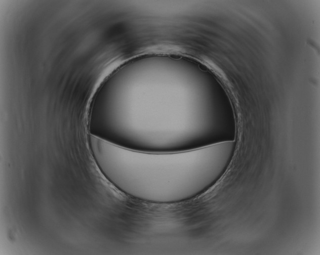 X0000093421248200710120850