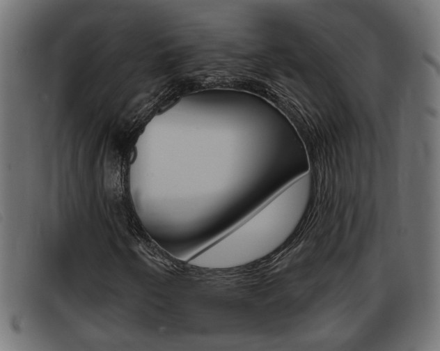 X0000093421250200710120849