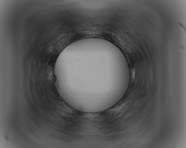 X0000093421251200710120849