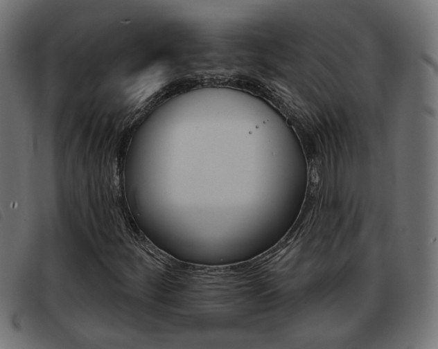 X0000093421252200710120849