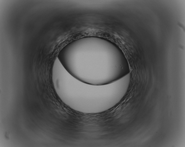X0000093421253200710120849