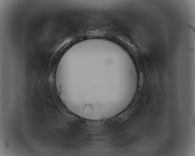 X0000093421254200710120849