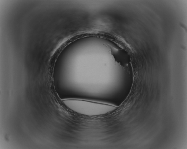 X0000093421256200710120849