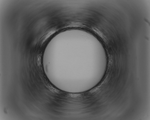 X0000093421258200710120849