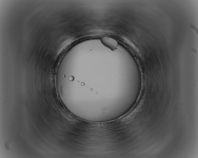 X0000093421259200710120849
