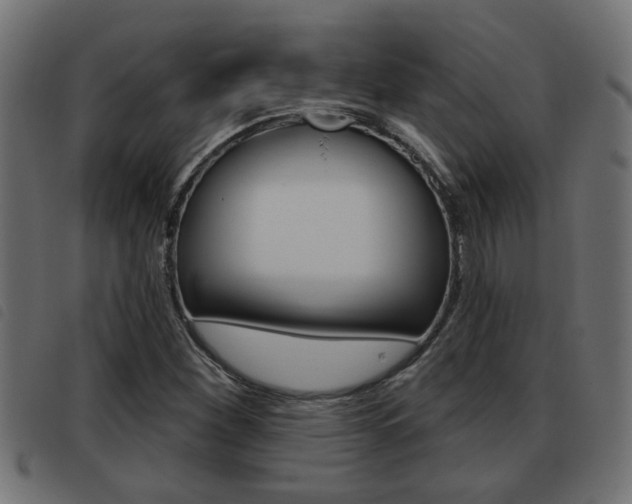 X0000093421260200710120849