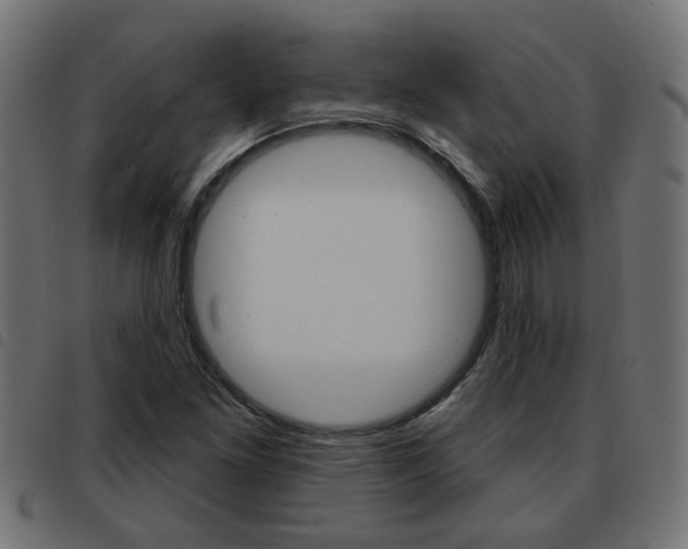 X0000093421261200710120849