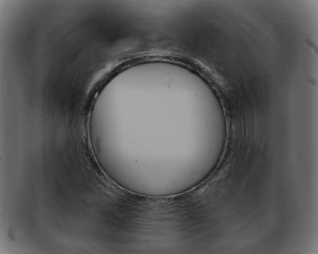 X0000093421262200710120849
