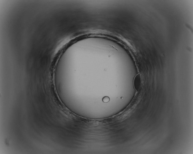 X0000093421263200710120849