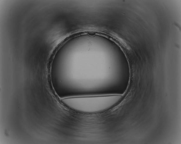 X0000093421264200710120849