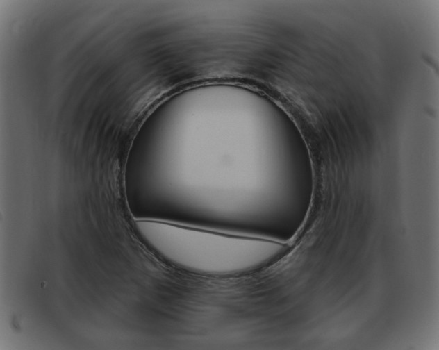 X0000093421265200710120849