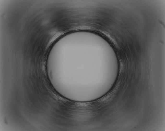 X0000093421266200710120849