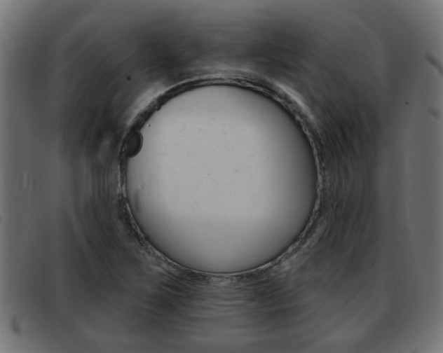 X0000093421267200710120849