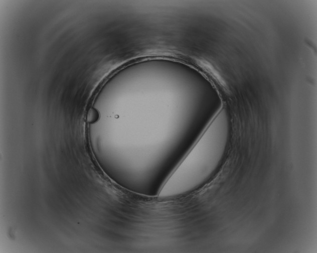 X0000093421268200710120849