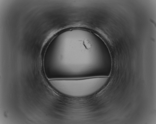 X0000093421270200710120849