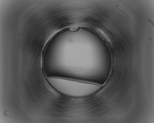 X0000093421276200710120849