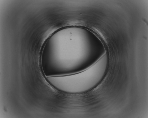 X0000093421277200710120849